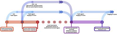 From the Clinic to the Bench and Back Again in One Dog Year: How a Cross-Species Pipeline to Identify New Treatments for Sarcoma Illuminates the Path Forward in Precision Medicine